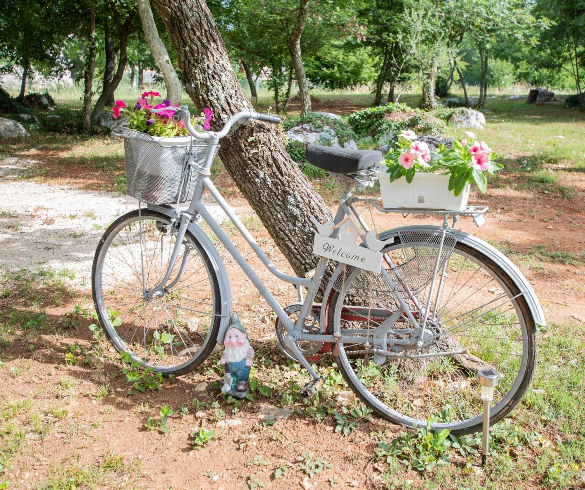 Eden In Peaceful Area Near Center